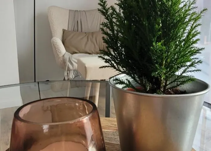 Apartman Wrzosowy Zakatek Karpacz